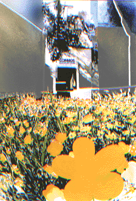 Garten Malerei ULLA GÖKLÜ